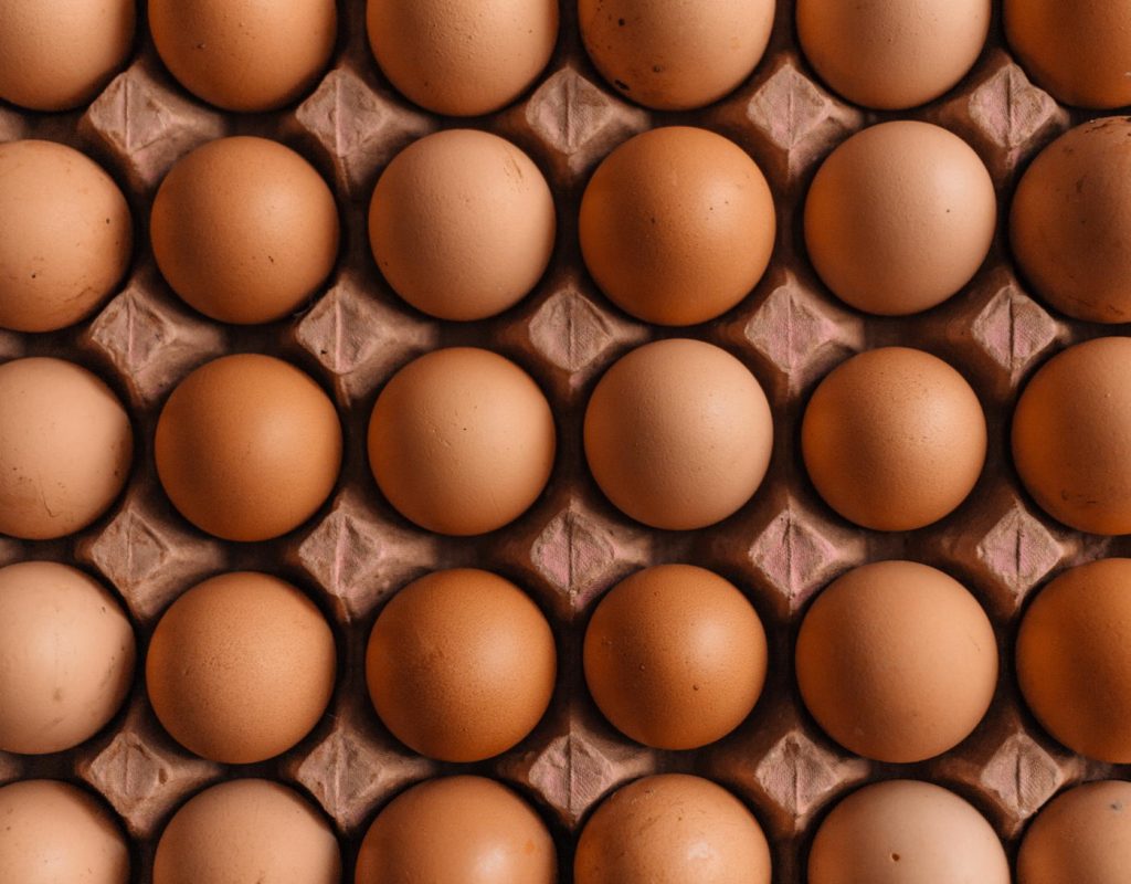В чем разница белых и коричневых яиц?