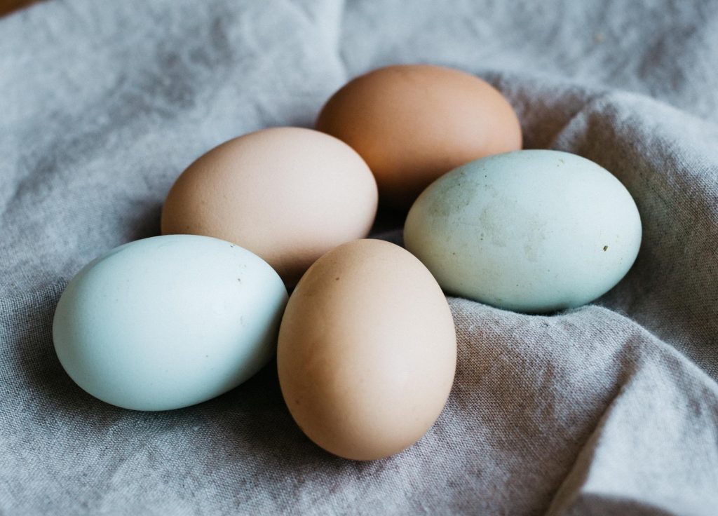 В чем разница белых и коричневых яиц?