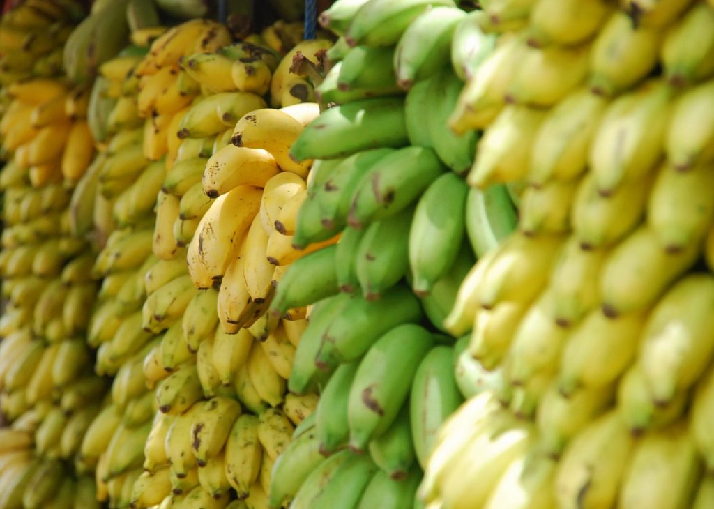 Как правильно хранить бананы дома?
