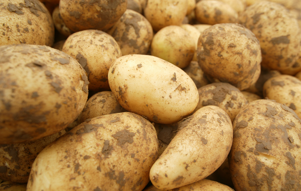 Почему картофель чернеет после варки?