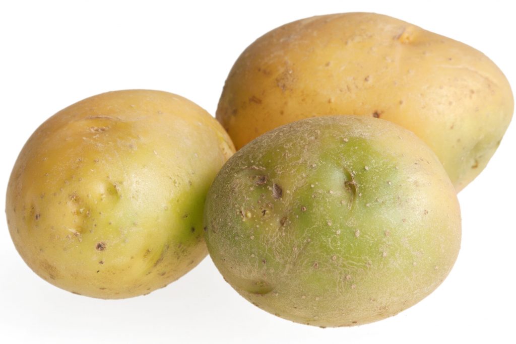Почему зеленеет картофель при хранении и как этого избежать?
